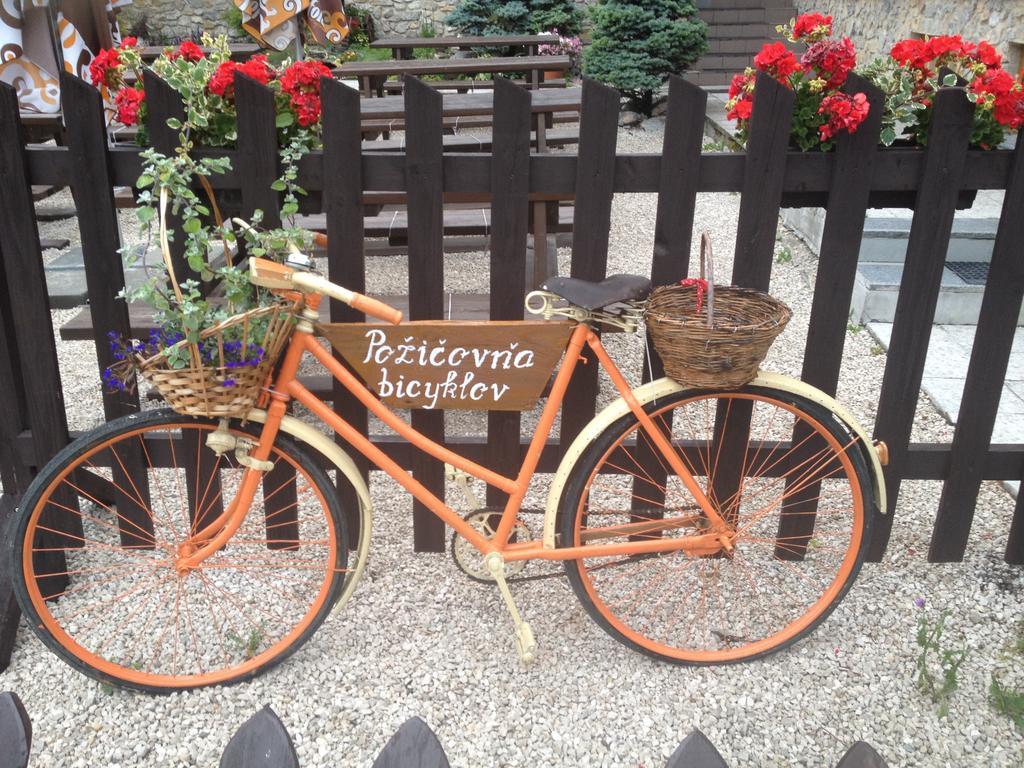 Penzion Javorina Čičmany Екстериор снимка
