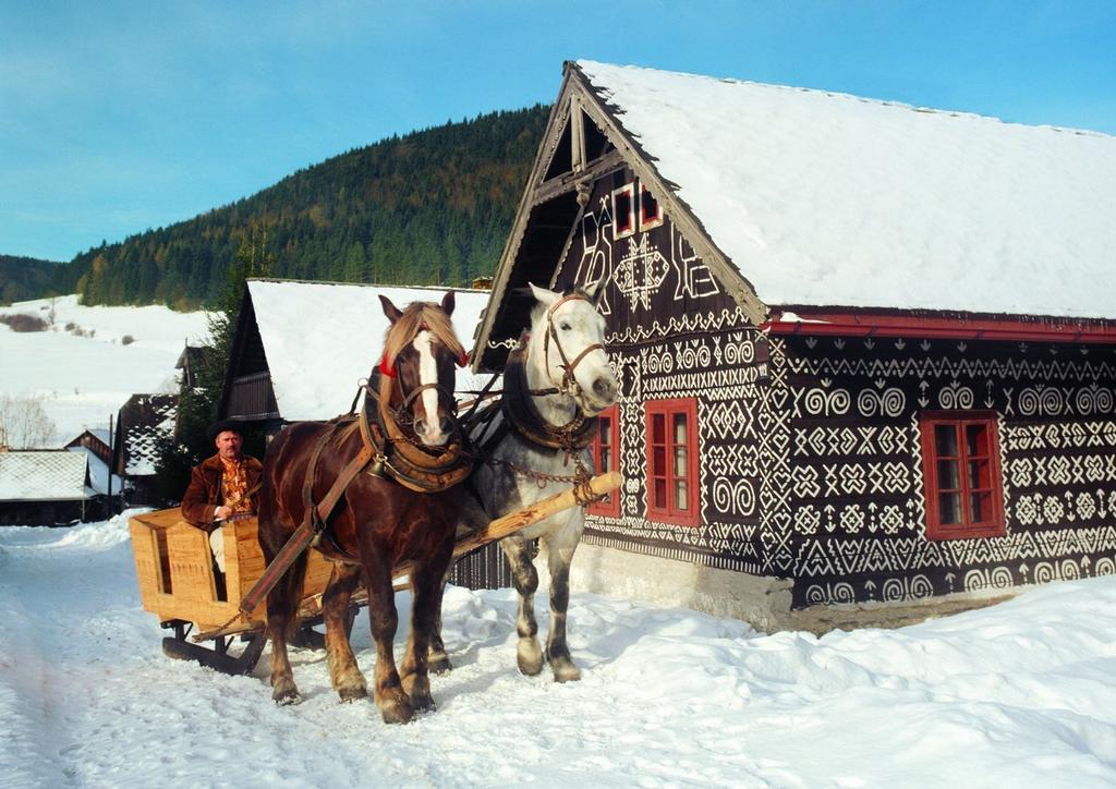 Penzion Javorina Čičmany Екстериор снимка